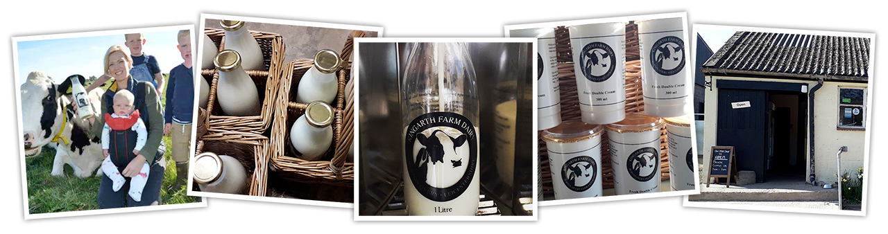 Fresh Free-Range Pasteurised Milk & Cream